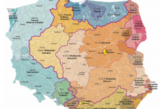 POLITYCZNOGEOGRAFICZNA REGIONALIZACJA WSPÓŁCZESNEJ POLSKI: makroregiony